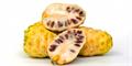 Morinda citrifolia
